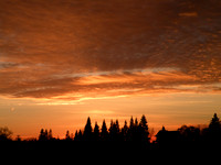 Sunset - Newcastle, CA
