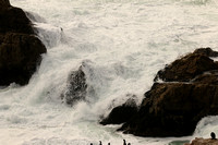 Waves On Pacific Coast