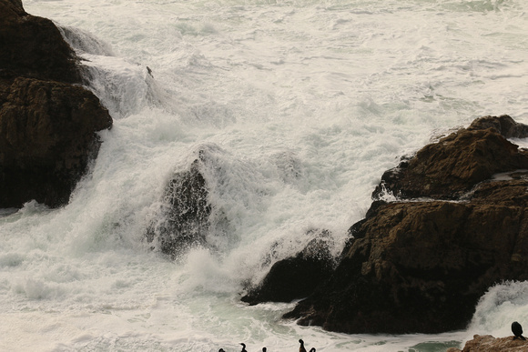 Waves On Pacific Coast