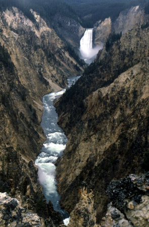 Yellowstone River & Lower Falls - Yellowstone N.P., WY