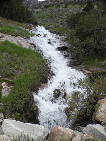 Mountain Stream Cascading Into Lamoille Canyon, Elko, NV