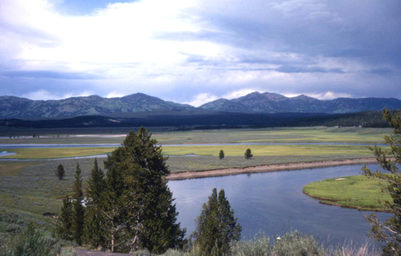 Yellowstone River - Hayden Valley, Yellowstone N. P., WY