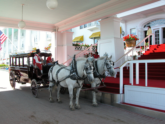 Carriage Horses - Mackinac Island