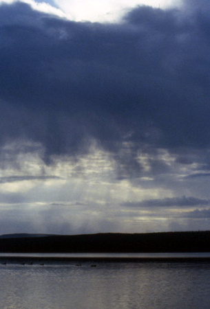 Storm Clouds Over Lewis Lake, Yellowstone National Park