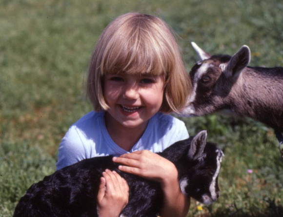 Goats Attracted To People